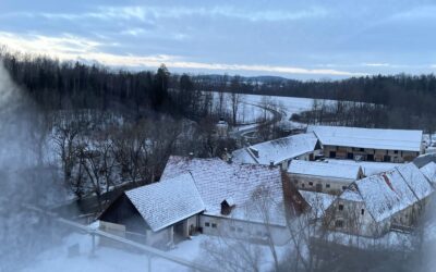 Die Meisterschule für Floristen