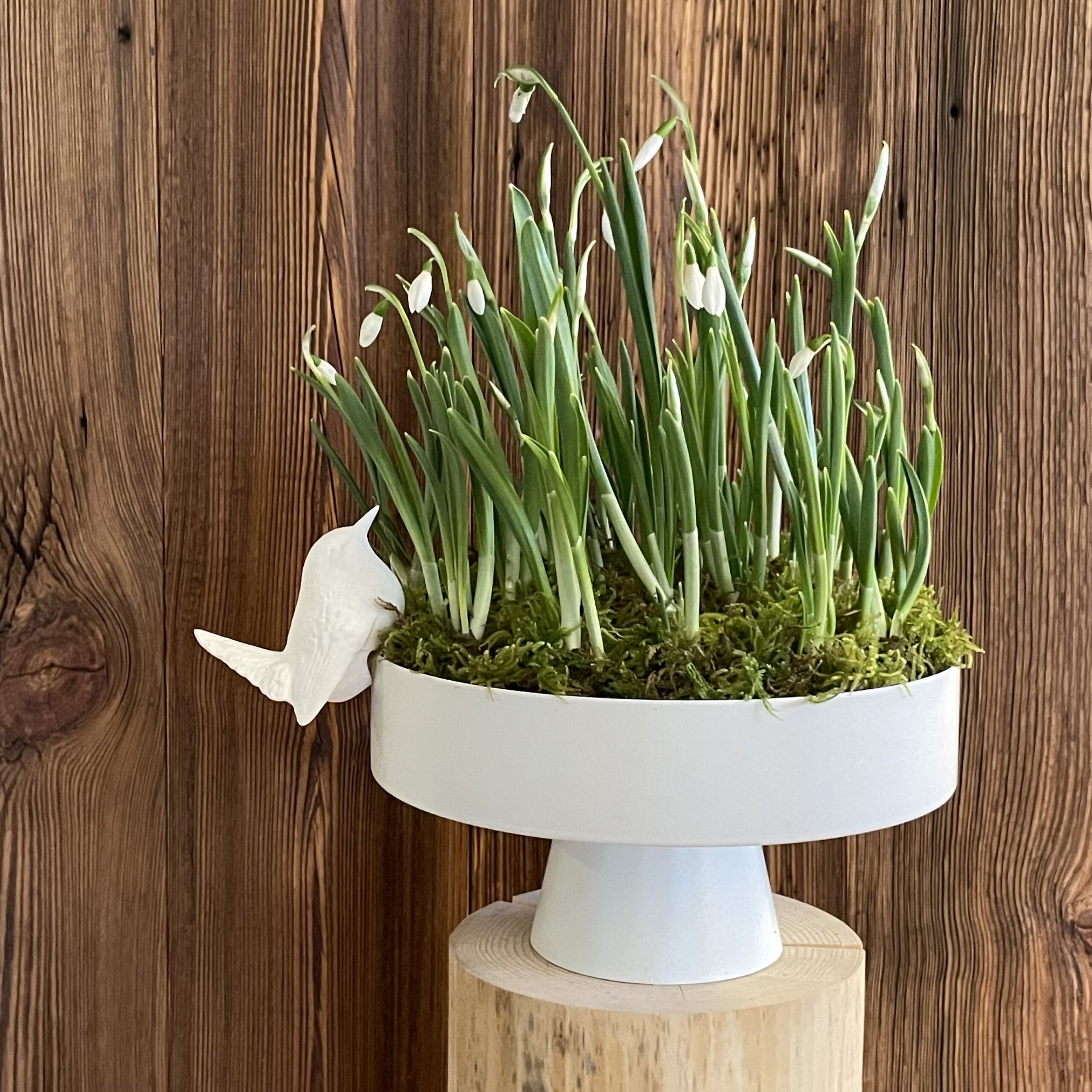 Boho Hängeschmuck im Raumkonzept